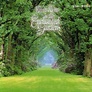 Diabetic Stress Relief: Kevin Kern - In the Enchanted Garden