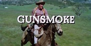 What Kind Of Horse Did Matt Dillon Ride In Gunsmoke? Check It Out