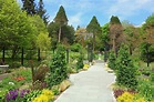 Morris arboretum,philadelphia,pennsylvania,plants,flowers - free image ...