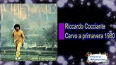Riccardo Cocciante - Cervo a primavera 1980 - YouTube