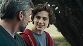 The Best Timothée Chalamet Movies And How To Watch Them | Cinemablend