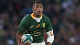 Springboks: Fly-half woes continue as Damian Willemse out of finale ...