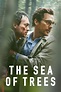 Watch The Sea of Trees (2015) Online | Free Trial | The Roku Channel | Roku