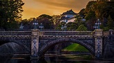 Tokyo Imperial Palace: All You Need to Know