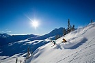 Whistler Blackcomb Mountains • Ski Holiday • Reviews • Skiing
