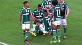 Assista os Melhores Momentos de Palmeiras 2 x 1 São Paulo – Campeonato ...