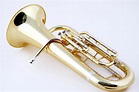 What Are the Different Types of Brass Instruments?