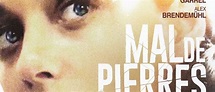 Mal de pierres de Nicole Garcia (2016), synopsis, casting, diffusions ...