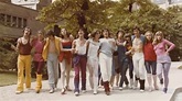 Tous Vedettes ! (1979), un film de Michel Lang | Premiere.fr | news ...