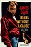 BEST PRICE GUARANTEE Rebel Without a Cause Movie Poster Discount Prices ...