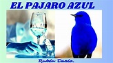 📘 "EL PAJARO AZUL - Rubén Darío (audiolibro) - YouTube