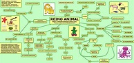 Mapa Mental Reino Animal - EDULEARN