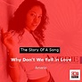 The story and meaning of the song 'Why Don't We Fall in Love (feat ...