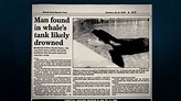 Daniel P. Dukes (lost death photographs and possible footage of orca ...