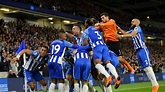 Brighton 2017/18 Premier League season review | Football News | Sky Sports