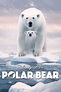 Film Polar Bear (2022) Online Sa Prevodom | Filmovizija