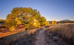 Bilder von USA Prescott, Arizona Weg Sonne Natur Abend 2560x1578