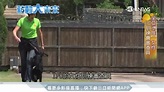 薪動大未來／警犬IPO訓練專家 亞洲第一位女審查員 | 節目 | 三立新聞網 SETN.COM