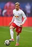 Emil Forsberg - Great Bear Blogged Pictures Library