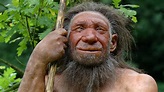 Neandertaler: Warum starben die Neandertaler aus? - Urzeit - Geschichte ...