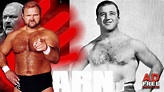 Arn Anderson On The Legend Of Mike DiBiase - YouTube