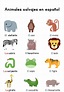 Animales salvajes en español – Wild Animals in Spanish-Basic Vocabulary ...