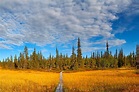 Urho Kekkonen National Park is a national park in Lapland, Finland ...