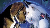 Cats & Dogs (2001) | FilmFed