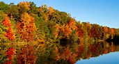 North Carolina fall color map! - Folkmoot USA