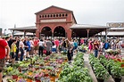 Detroit's Eastern Market Flower Day 2015 – Life In Michigan