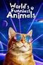 World's Funniest Animals - Full Cast & Crew - TV Guide