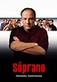 Los Soprano temporada 1 - Ver todos los episodios online
