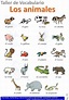 Animals in Spanish -Los animales- Spanish vocabulary A1
