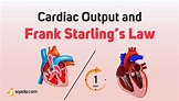 Cardiac Output and Frank Starling’s Law mechanism Physiology - sqadia.com
