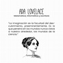 Solo palabras: Ada Lovelace