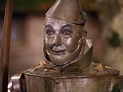 El hombre de hojalata | Tin man, Wizard of oz 1939, Tin man costumes