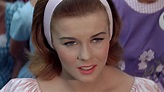 Bye Bye Birdie (1963) - Backdrops — The Movie Database (TMDB)