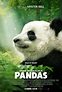 Pandas - Film documentaire 2018 - AlloCiné