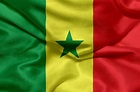 Flag of Senegal - Photo #8349 - motosha | Free Stock Photos