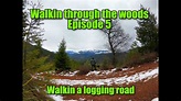 Walkin through the woods Episode 5 Walkin an old logging road - YouTube