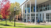University of New Haven Virtual Campus Experience