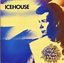 Icehouse - Great Southern Land (1989, CD) | Discogs