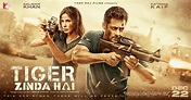 Tiger Zinda Hai hindi Movie - Overview