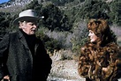 Picture of Harry and Tonto (1974)