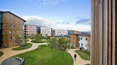 Goodricke College, University of York - BDP.com