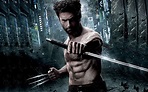 HollyWood Stars: Hugh Jackman Wolverine Movie New HD Wallpaper 2013