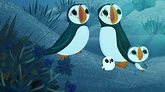 Watch Puffin Rock - New Year's Eve Countdown | Netflix Official Site