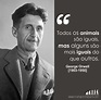 George Orwell | Frases inspiracionais, George orwell, Frase para refletir