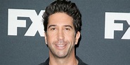 David Schwimmer - Net Worth December 2022, Salary, Age, Siblings, Bio ...