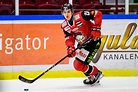 Helge Grans stannar i Redhawks - Skånesport